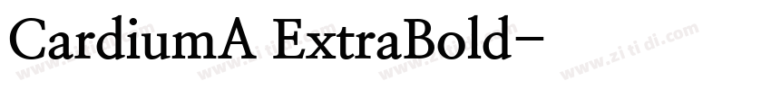 CardiumA ExtraBold字体转换
